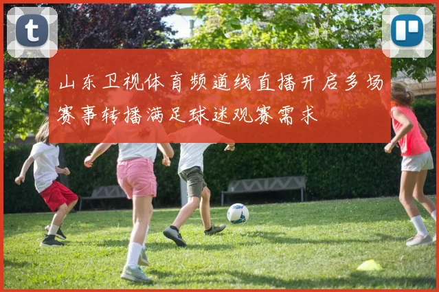 山东卫视体育频道线直播开启多场赛事转播满足球迷观赛需求