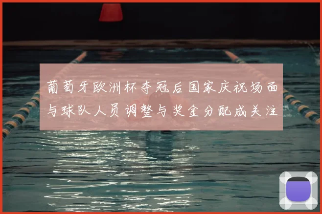 葡萄牙欧洲杯夺冠后国家庆祝场面与球队人员调整与奖金分配成关注点