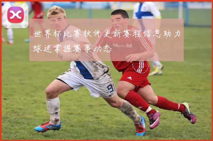 世界杯比赛软件更新赛程信息助力球迷掌握赛事动态