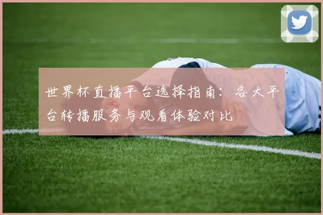 世界杯直播平台选择指南：各大平台转播服务与观看体验对比