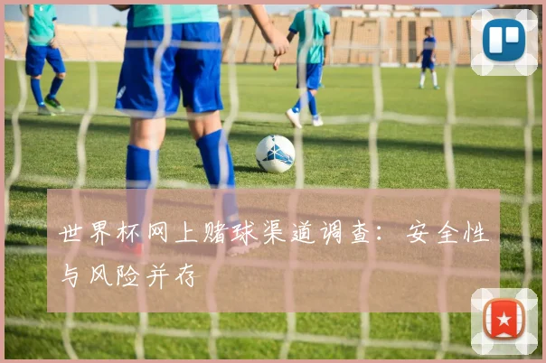 世界杯网上赌球渠道调查：安全性与风险并存